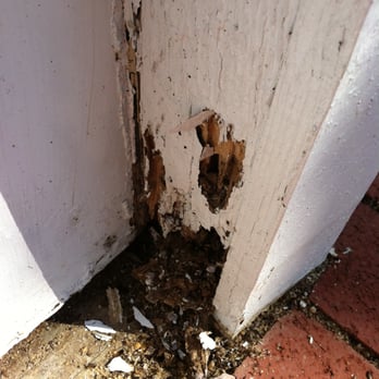 Slug-A-Bug - Termite damage to door frame - Pest Control Near Me - Woodbridge, Virginia Slug-A-Bug - Termite damage to door frame - Pest Control Near Me - Woodbridge, Virginia