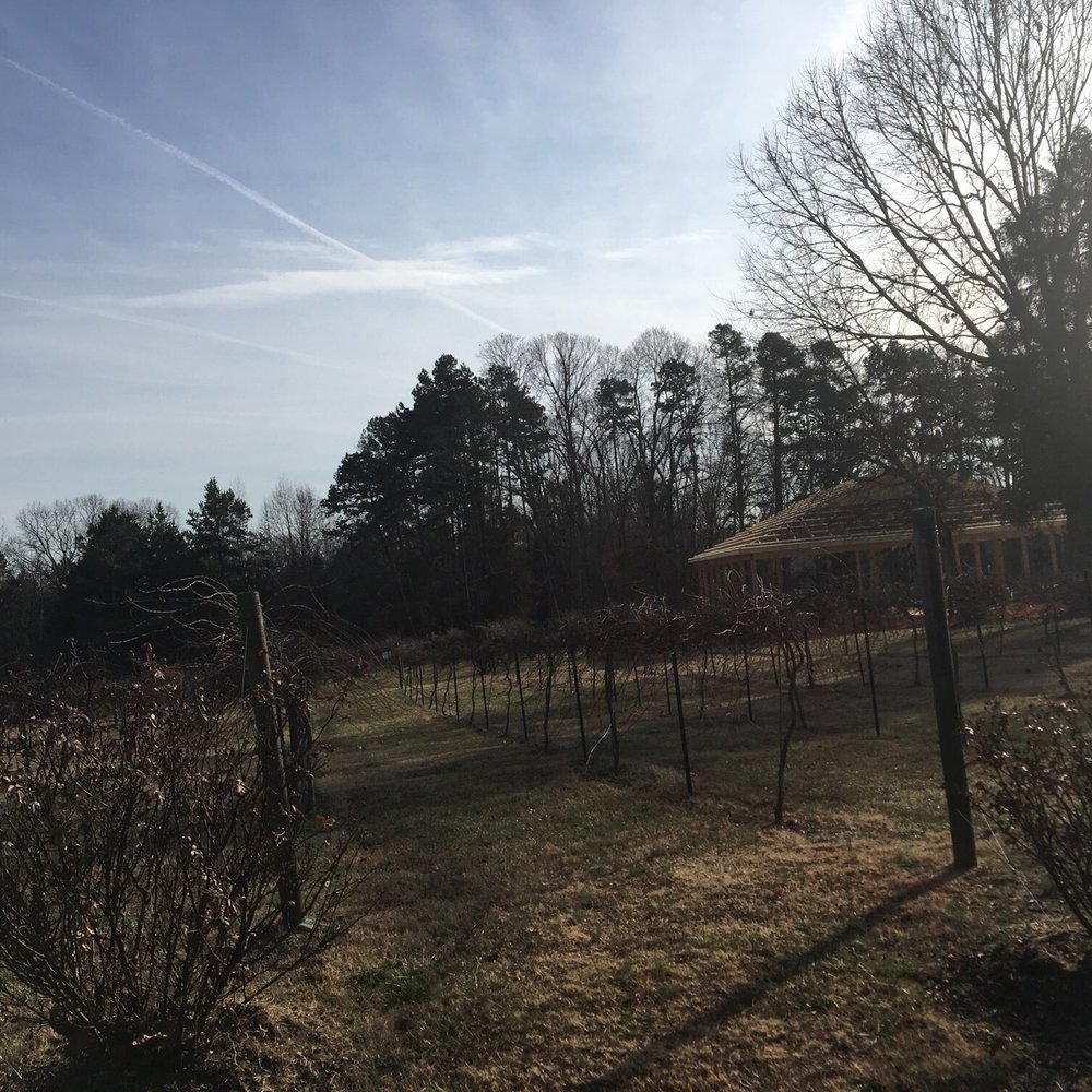 Douglas Vineyards - Wine Tasting Room Near Me - Kannapolis, North Carolina