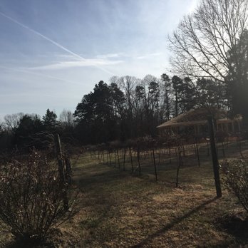 Douglas Vineyards - Wine Tasting Room Near Me - Kannapolis, North Carolina