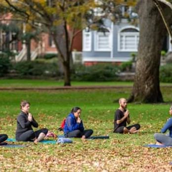 Onyeka Tefari - Group yoga - Yoga Near Me - San Diego, California Onyeka Tefari - Group yoga - Yoga Near Me - San Diego, California