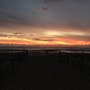 Photo of Palm Beach