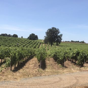 Bokisch Vineyards - Wine Tasting Room Near Me - Lodi, California