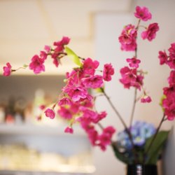 HapLi Restaurant