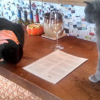 Whalebone Vineyard - Friendly cats joined us for wine tasting - Wineries Near Me - Paso Robles, California Whalebone Vineyard - Friendly cats joined us for wine tasting - Wineries Near Me - Paso Robles, California