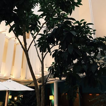 Condesa DF - Hotels Near Me - Ciudad de México, DIF Condesa DF - Hotels Near Me - Ciudad de México, DIF
