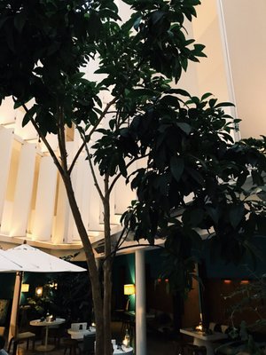 Hotel CondesaDF by null