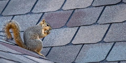 Slide of Marty Robbins Roofing