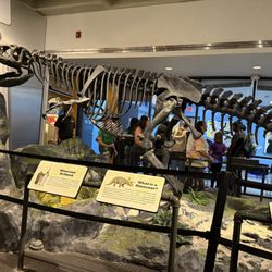 Museum of Science History Giftly Beautiful Gift Card Alternative