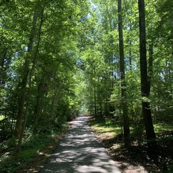 Veterans Park