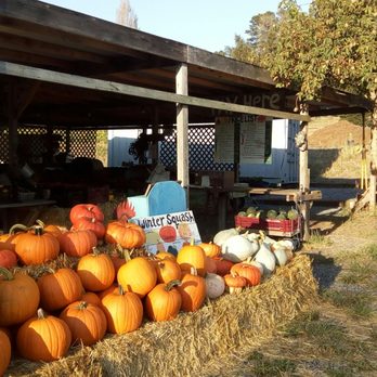 Worker Bee Farm - Scary or tasty, it's up to you. - Farms Near Me - Freestone, California