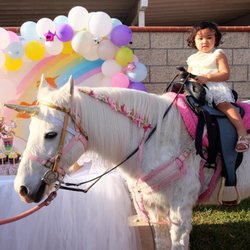 Ponies For Parties
