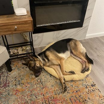 Cypress Creek Cottages - Xena knocked out - Guest Houses Near Me - Wimberley, Texas Cypress Creek Cottages - Xena knocked out - Guest Houses Near Me - Wimberley, Texas