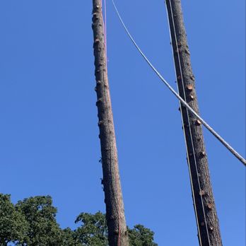 Ascension Tree Care - Tree Services Near Me Ascension Tree Care - Tree Services Near Me