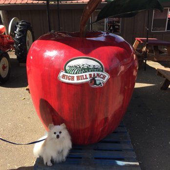 High Hill Ranch - I am spoiled - Donuts Near Me - Placerville, California High Hill Ranch - I am spoiled - Donuts Near Me - Placerville, California