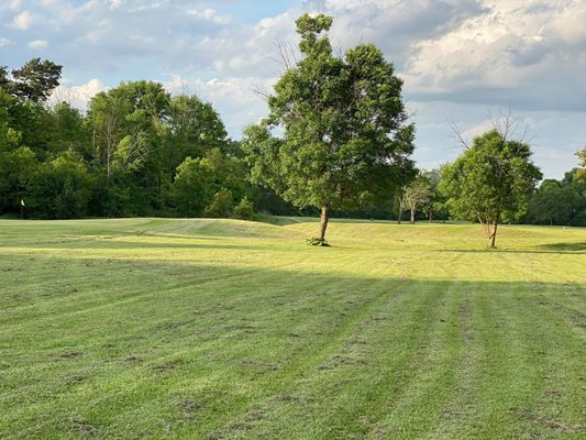 SWARTZ CREEK MUNICIPAL GOLF COURSE Updated June 2024 24 Photos