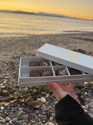 Rayluca Chocolate by null