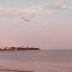 Somatic Health & Healing - Be Well