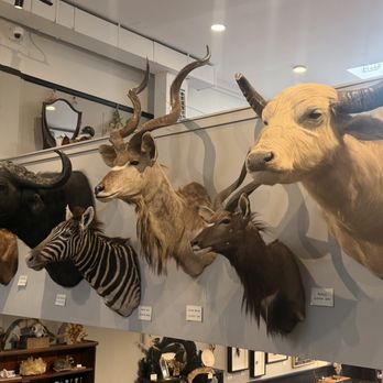 Paxton Gate - Jewelry Near Me - Portland, Oregon