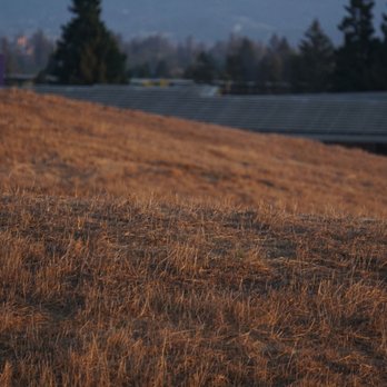 Shoreline Parklands At Mountain View - Parks Near Me - Mountain View, California