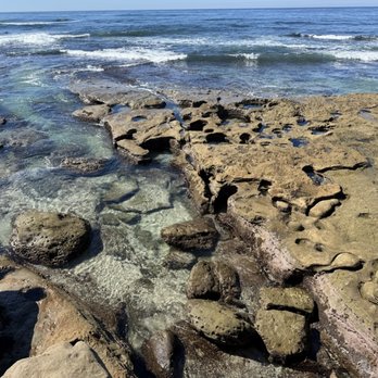 Vacation Rentals by Kimberly - La Jolla Cove - Vacation Rental Agents Near Me - Del Mar, California Vacation Rentals by Kimberly - La Jolla Cove - Vacation Rental Agents Near Me - Del Mar, California