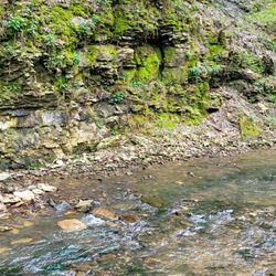 Hayden Falls Park