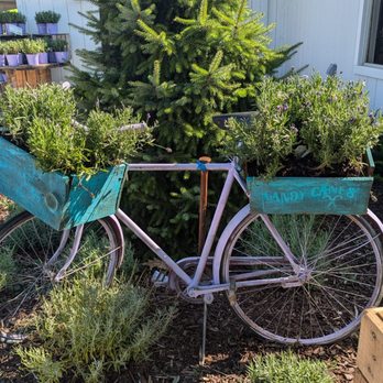 Blake's Backyard - Fruits & Veggies Near Me - Almont, Michigan