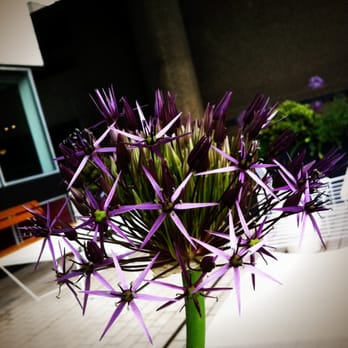 Barbican - Cultural Center Near Me - London, XGL