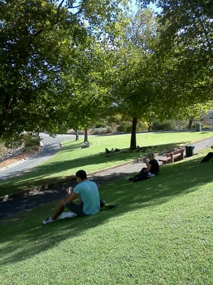 Flinders University by null