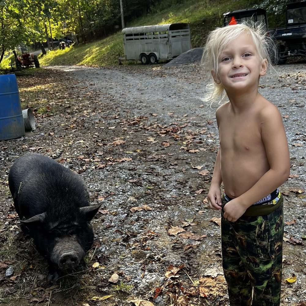 Twin Valley Horse Ranch - Pigs! - Horseback Riding Near Me - Walland, Tennessee Twin Valley Horse Ranch - Pigs! - Horseback Riding Near Me - Walland, Tennessee