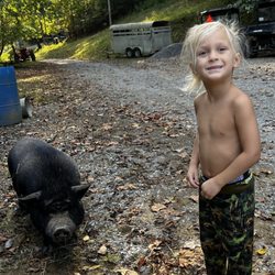 Twin Valley Horse Ranch - Pigs!