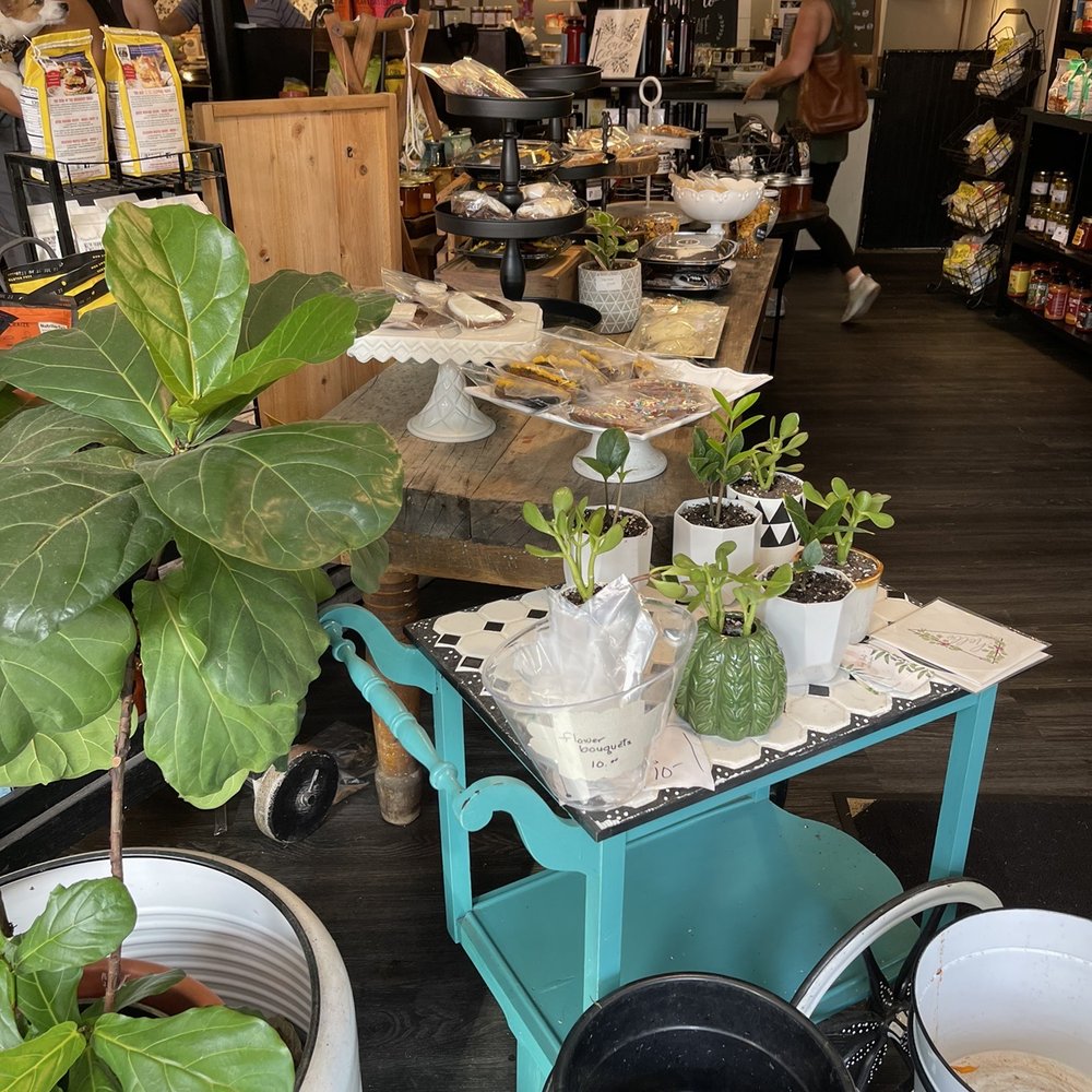 Tree Town Cafe - Cafes Near Me - Rochester, New York Tree Town Cafe - Cafes Near Me - Rochester, New York