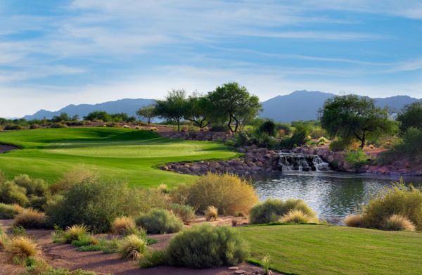 Sheraton Grand at Wild Horse Pass by null