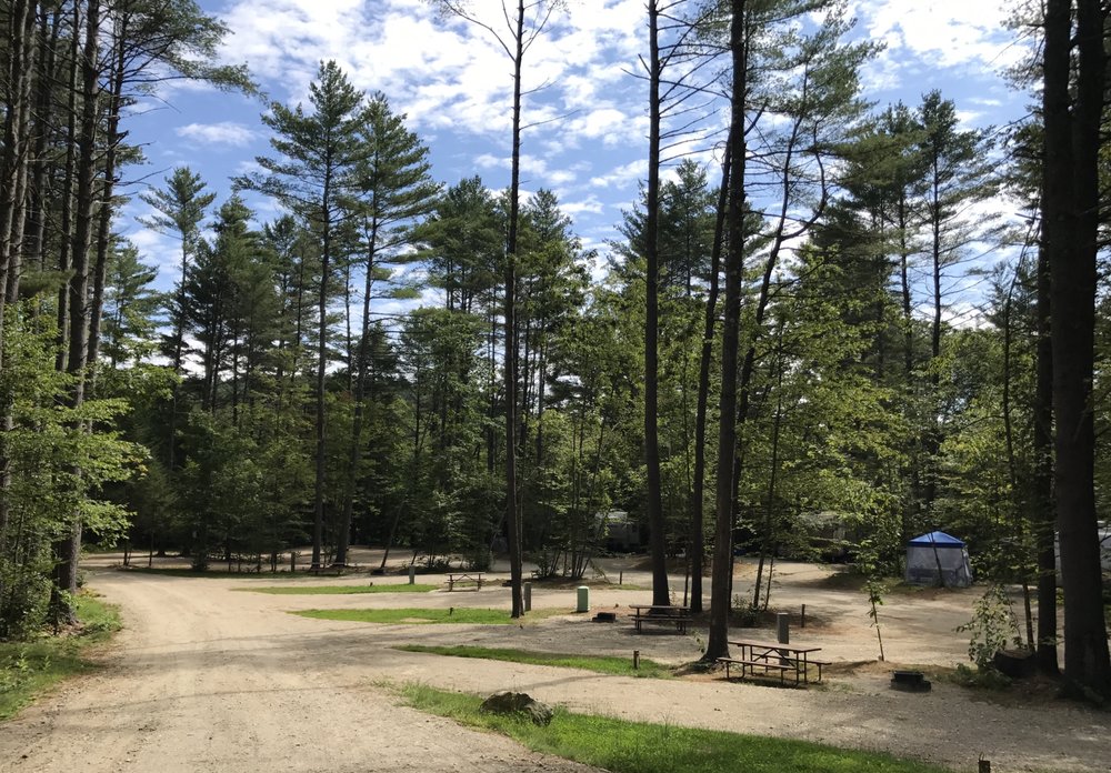PINE HAVEN CAMPGROUND Updated April 2024 29 Pine Haven Campground