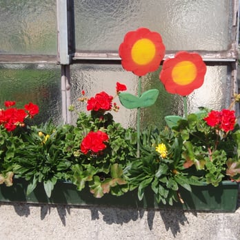 Blumen Schmid - Und für ihren Balkon, Terrasse... - Florists Near Me - Regensburg, BY