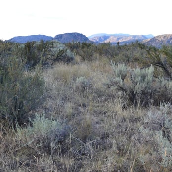 Osoyoos Desert Centre - Not the desert you would imagine, but very neat! - Parks Near Me - Okanagan-Similkameen A, British Columbia Osoyoos Desert Centre - Not the desert you would imagine, but very neat! - Parks Near Me - Okanagan-Similkameen A, British Columbia