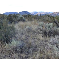 Osoyoos Desert Centre - Not the desert you would imagine, but very neat!