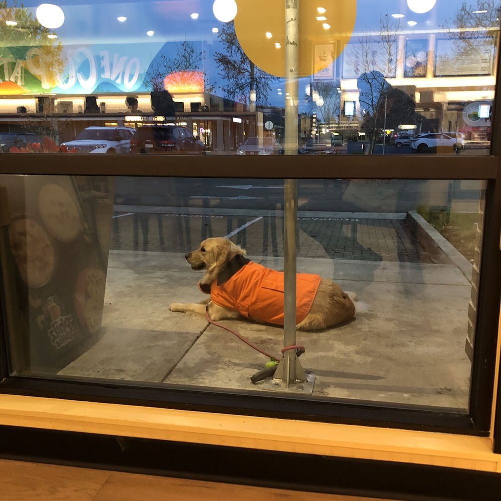 Philz Coffee - Lola waiting for me - Coffee & Tea Near Me - Pleasanton, California Philz Coffee - Lola waiting for me - Coffee & Tea Near Me - Pleasanton, California