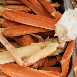Bird of Paradise - Crab