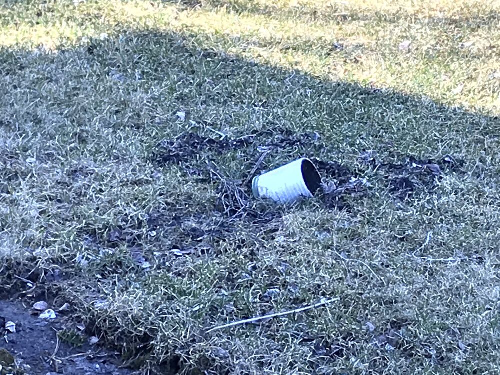 CELTIC PROPERTY MANAGEMENT Property Management 3100 Theodore St