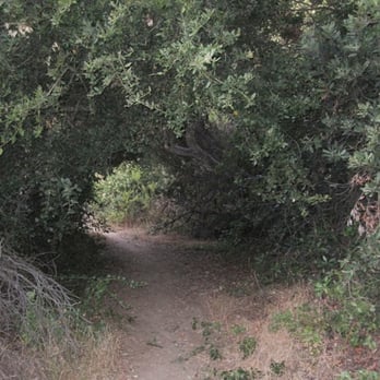 Coldwater Canyon Park - Off-beaten nature paths - Parks Near Me - Beverly Hills, California Coldwater Canyon Park - Off-beaten nature paths - Parks Near Me - Beverly Hills, California