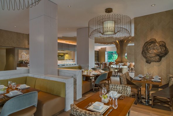 The Westin at The Woodlands® by null