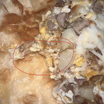 Taco Station - Hair found in my Sausage Breakfast Burrito - Mexican Near Me - Riverside, California Taco Station - Hair found in my Sausage Breakfast Burrito - Mexican Near Me - Riverside, California