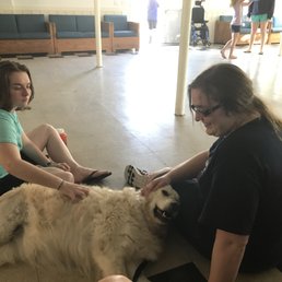 Kasey getting some love post surgery with Columbus Central Veterinary Hospital. Kasey getting some love post surgery with Columbus Central Veterinary Hospital.