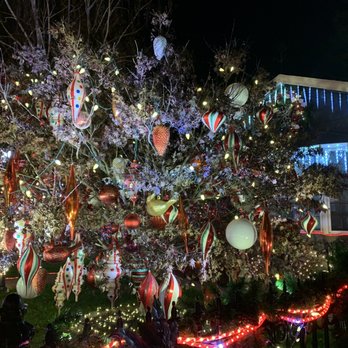 Christmas Tree Lane - Festivals Near Me - San Carlos, California