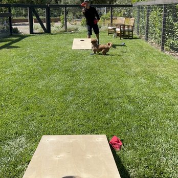 Olive + Lavender Farms - Corn hole toss - Attraction Farms Near Me - Los Olivos, California Olive + Lavender Farms - Corn hole toss - Attraction Farms Near Me - Los Olivos, California