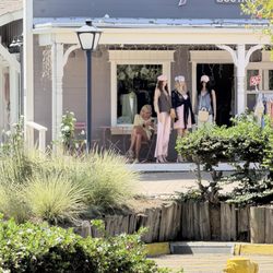 Influencer Boutique - Owner of off leash aggressive dog