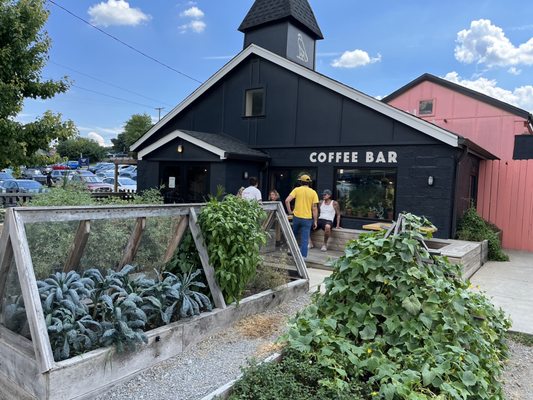 Falcon Coffee Bar by null