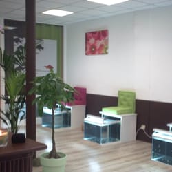 delice fish spa