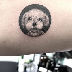 Solin Tattoo - Dog tattoo