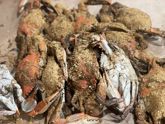 Mr. Bill's Terrace Inn Crab House by null